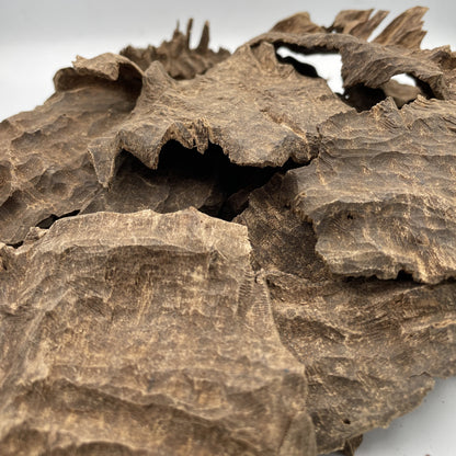 السلق الحلو (12 جرام)